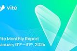 Informe Mensual VITE – Enero 2024