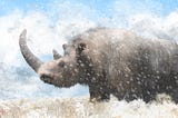 Unusual DNA: Woolly Rhino DNA Found Inside Mummified Wolf ’s Stomach May Provide Insight into Their…