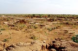 Economic Instruments can help to reorient Degraded Rangelands