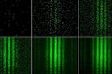 The Double-Slit Paradox Resolved