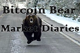 Bitcoin Bear Market Diaries 2022