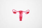 Scientists Bring Renewed Attention to A Long-Dismissed Part of the Female Reproductive System