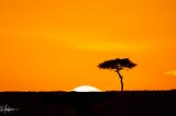 Why I Love Kenya Sunrise Acacia Maasai Mara Cover