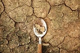 Global food insecurity: DRC, Nigeria, Sudan, Afghanistan, Yemen, Ukraine and Gaza