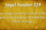 329 Angel Number: An Encouraging Message For You