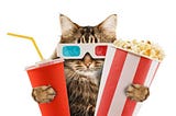 19 Best Cat Movies To Watch With Your Cat ( IMDb rating )