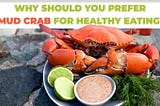 Why should you prefer Mud crab for healthy eating?