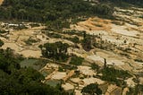 The contaminated forest-mining in the Amazon