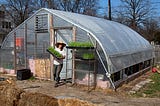 Urban farming is booming, but what does it really yield?