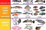 Learning Malay-Different Types of Fishes