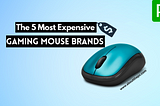 The 5 Most Expensive Gaming Mouse Brands — AboutthePC