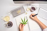 Tips For Landing A Job In The Cannabis Industry