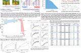 Paper Review: Beyond the 80/20 Rule: High-Entropy Minority Tokens Drive Effective Reinforcement…