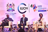 Bridging the Gap: A Call for Collaboration in African Conservation