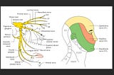 Medical Minute: Headaches