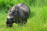 5 Remarkable reasons to travel Northeast India