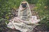 How To Leave Your Warm Bed Even When It’s Cold Outside