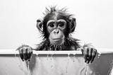 Bathtub Time with Midjourney