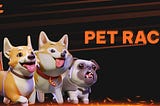 beFITTER introduces an exciting new feature — Pet Race!