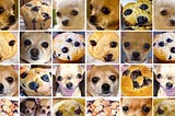 Muffin or Chihuahua