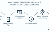 Parametric Insurance in Travel: Game Changer or Passing Fad?