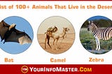 Dessert Animals — List of 100+ Animals That Live in the Desert — Your Info Master