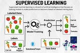 INTRODUCTION TO SUPERVISED LEARNING