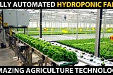 FULLY AUTOMATED HYDROPONIC FARM | Modern Hydroponic Farming | Amazing Agriculture Technology