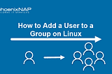 Group Creation and User Assignment