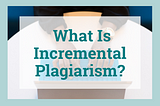 What Is Incremental Plagiarism?