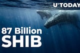Whale Buys 87 Billion SHIB, While Shiba Balance of Top Investors Shrinks