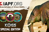 KOGs NFTs Empower the Women of Africa’s International Anti-Poaching Foundation