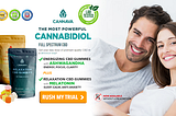 Cannava CBD Gummies — Thousands of sleeping and products are present in the market today and the…