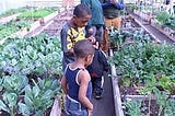 10 American Cities Lead the Way With Urban Agriculture Ordinances