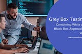 Grey Box Testing: Combining White and Black Box Approaches