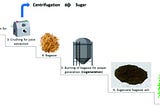 Exploring Sugarcane Bagasse: A Green Revolution | Zarea Limited