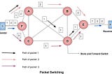 Analyzing Packet Switching Technique