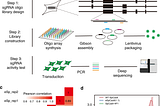 Optimized Crispr guide RNA design for two high fidelity Cas9 variants by deep learning