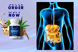 SynoGut Reviews 2024 Healthy Gut and Digestion — Ingredients and Side Effects Exposed!