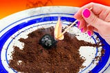 Burn the Coffee Grounds and See What Happens: It’s the Solution to Summer’s Biggest Problem