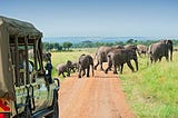 Seven Reasons Why You Should Choose A Luxurious Tanzania Safari