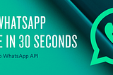How to send automated messages on WhatsApp?