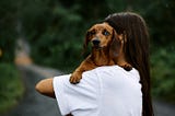 Will Pet Ownership Be Outlawed in the Future?