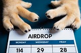 Paws Airdrop Listing Date: New Exchange Set for Early 2025