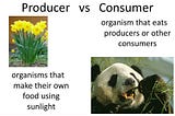 It’s Not about Rich and Poor but Producers and Consumers