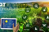 The Role Of  Internet Of Multimedia Things In Disrupting Smart And Future Agriculture