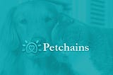Petchains — The World’s 1st Pets Short Video Platform
