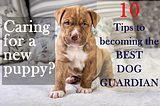 Caring for a new puppy? 10 tips to becoming an amazing dog guardian