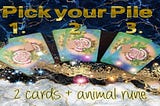 Read your Reading | Pick a pile