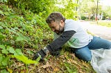 A person stretching on the ground pulling out weeds.